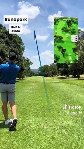 Hole vlog ⛳️ Hole 17 at Randpark Bushwillow golf course. My second eagle at Randpark! #golf #swing #eagle #fyp #reels #randpark