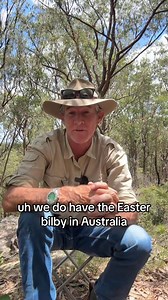 We don’t have the Easter bunny in Australia. It’s the Easter Bilby. #crocturnbull #askanyaussie #australia #usa | Steve Turnbull
