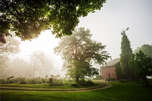The 10 Best Plants for Morning Shade and Afternoon Sun