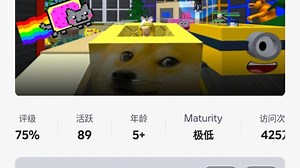 罗布乐思只有老玩家才懂得了服务器