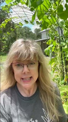 😨 Giant PYTHON Snake Bean #gardening #raisedgardenbeds #shorts