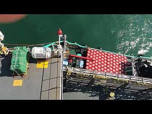 Discharge Operation and Store Delivery on Bulk Carrier Ship