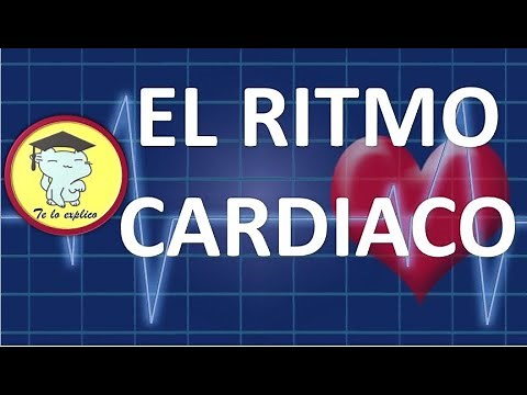 EL RITMO CARDIACO