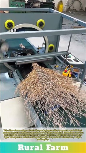 Stretch Film Packaging Machine: Advanced Stretch Film Packaging Suitable for All Workpieces