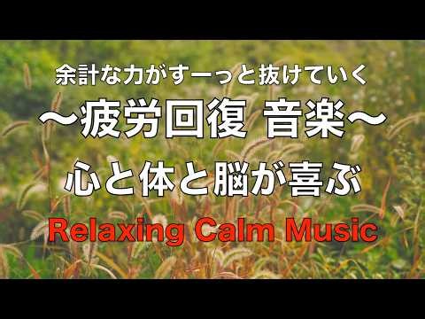 余計な力が抜けていく疲労回復音楽【心を落ち着かせ 心と体と脳が喜ぶ癒し音楽】 脳の疲れを取る音楽 自律神経を整える音楽 癒しの音楽 リラックス音楽 ☆106