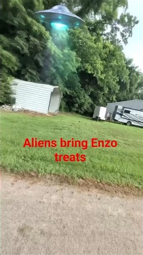 👽 Aliens Bring Enzo Galactic Treats! 🐶✨ | AI Remix