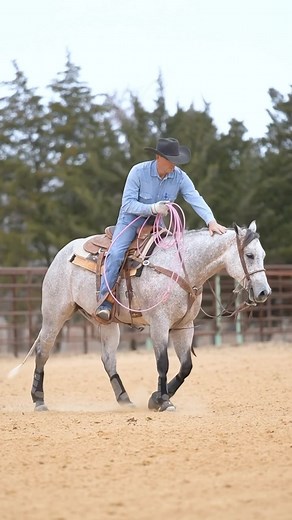 5.4K views · 5.5K reactions | Don’t wish for it….. Work for it….. “From horse tack and saddles to roping supplies and western wear, everything we offer has the needs of an experienced horseman or rancher.” #horseman #rancher #westernwear #roping #saddles #customsaddles #2m #ranchinglife #ranchingtoretail  @Miracle Man Marketing / @EC Equine Marketing | South Texas Tack | Facebook