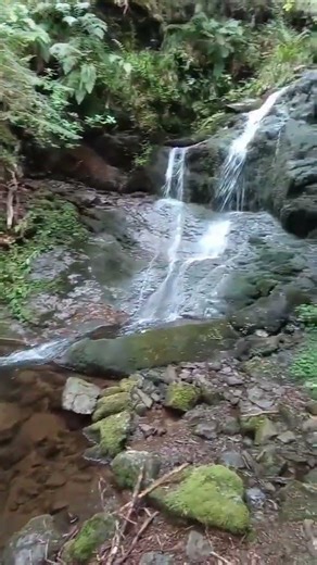 Bivouac #bushcraft #trek #bivouac