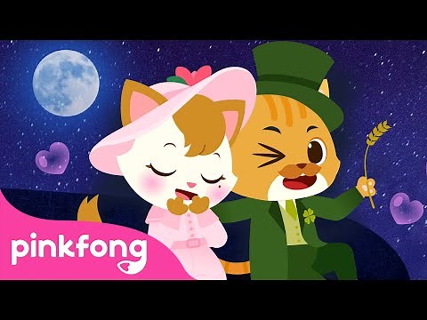 Story of Mr. Cat 😸| Pinkfong's Farm Animals | Nursery Rhymes | Pinkfong Songs for Children
