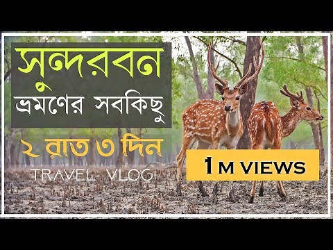 সুন্দরবন ভ্রমণ 4K | Travel Sundarban | World's Largest Mangrove Forest
