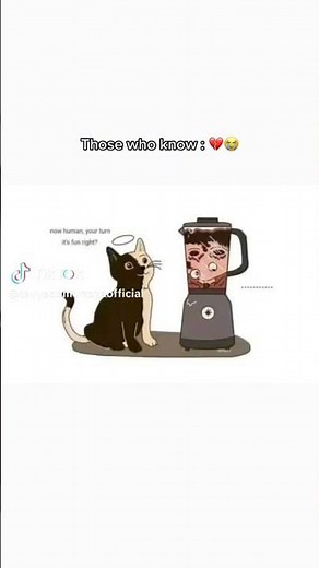 Chinese man put his cat into a blender #viralchinescat #viralcatvedio