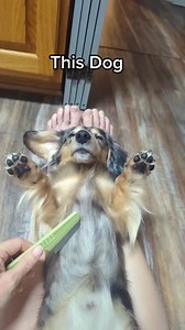 274K views · 6.5K reactions | Spoiled but not rotten! | Lenny and Lexie | Facebook