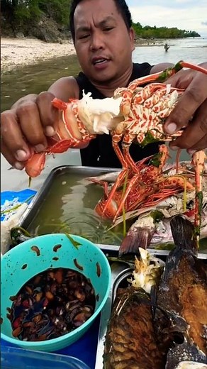 🦞 Catching Giant Lobsters and Fish – Ultimate Catch & Cook Adventure!