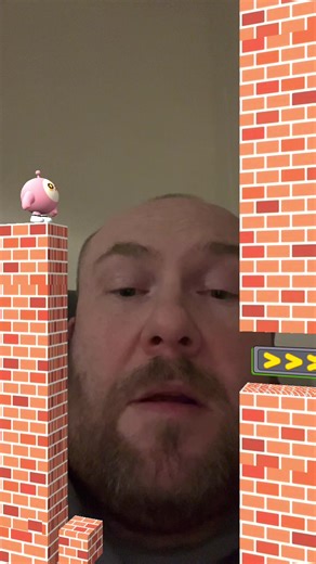 #bridge #path #challenge