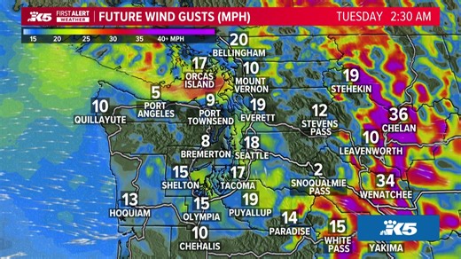 KING 5 Meteorologist Leah Pezzetti breaks down the latest updates and timeline for the atmospheric river hitting western WA and answers your questions live. | KING 5