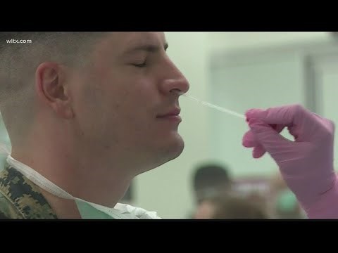Understanding different COVID-19 tests