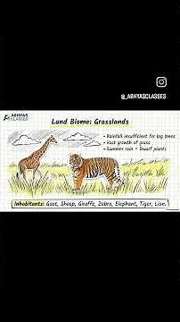 Class 8 Science | Ecosystem Handwritten Notes 🌱 | SSC Board | Quick Revision #Shorts