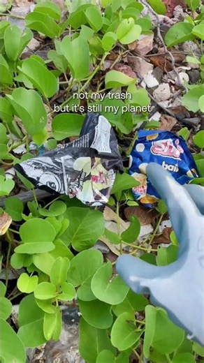 The Mindset That Could Change Our Oceans Forever | #sustainability #plasticpollution #trash