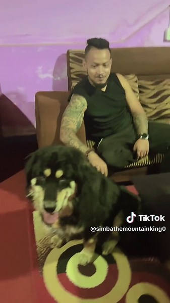 SimbaTheMountainKing on TikTok