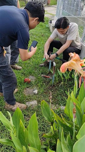 William Harry on Reels