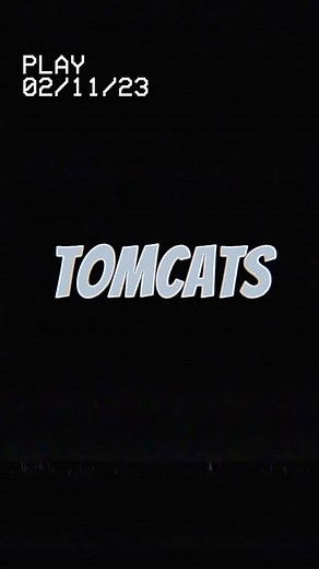 Fighter Jets in Action: Aerial Maneuvers Unleashed