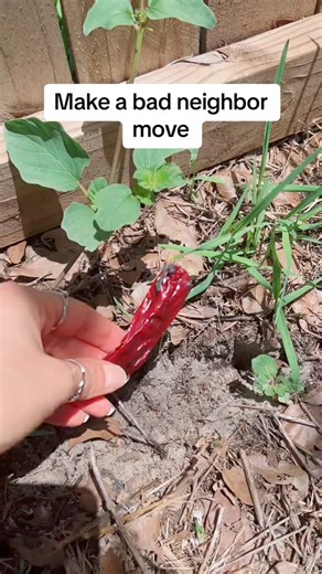 368K views · 5K reactions | #protectionspell | Inspiring Touch | Facebook