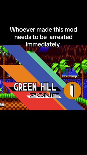 Sonic the Hedgehog Mod: A 12-Year-Old's Perspective