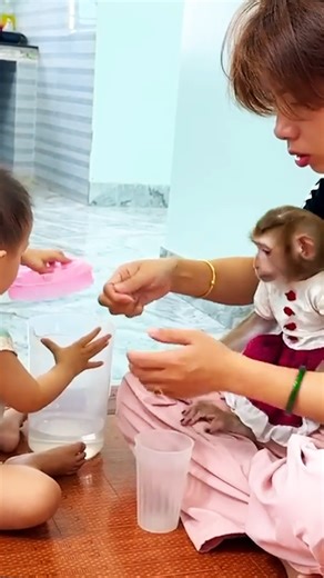 1.9K views · 80 reactions | o Super Cute! Monkey Kaka and Diem are active in mother's class_16 | Adorable Tiny Monkey | Facebook