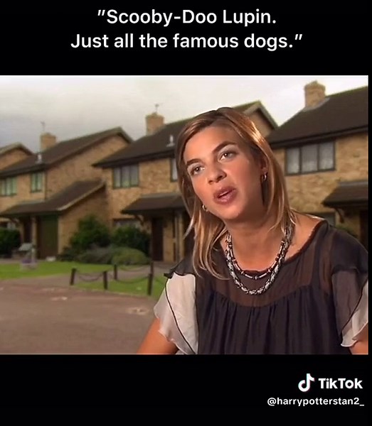 Meet Lupin and Tonks' Little Cub Naming Journey | Harry Potter BTS