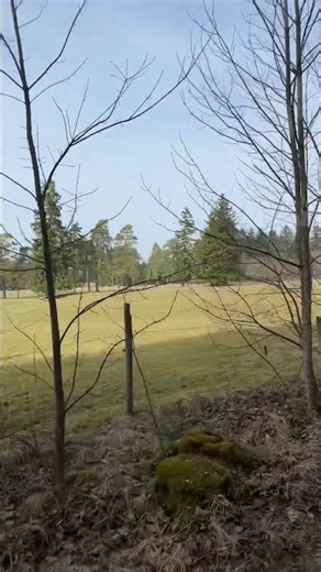 Geretsried Waldweg Isar 08.03.2026