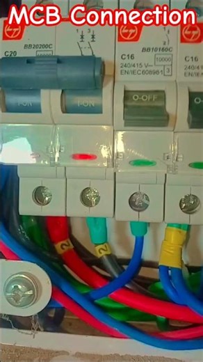 MCB Connection | Electrical Work | MCB Box Wire #electrical #shorts #db