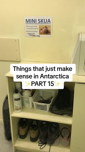 Antarctic Skua: Recycling and Reusing in Antarctica
