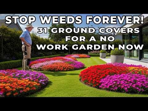 31 Best Ground Cover Plants for Care-Free Gardens—Stop Weeds, Erosion & Bare Soil Fast