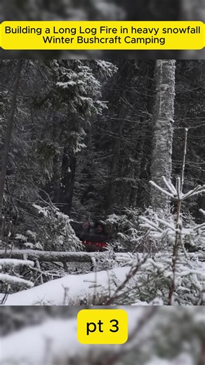 Essential Camping Skills for Outdoor Survival