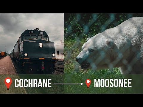Polar Bear Express | Cochrane to Moosonee