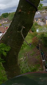 Smooth rigging #arborist #chainsaw #treework #rigging | Arbortec Forestwear