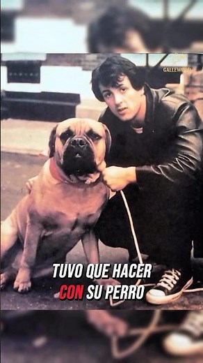¡La mítica escena de Rocky fue una total IMPROVISACIÓN y nadie se dio cuenta! 🥊🏃‍♂️