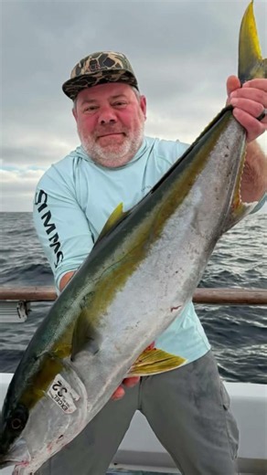 Excel 4-Day Bill Pool Memorial: Big Kelp Paddy Yellowtail! 🎣🔥