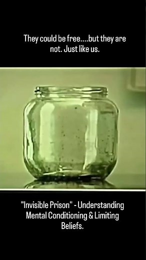 This Experiment Shows EXACTLY Why You Stay STUCK in Life