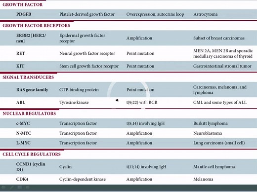 USMLE\pathoma video\part I