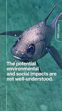 WRI Explains: Deep-Sea Mining