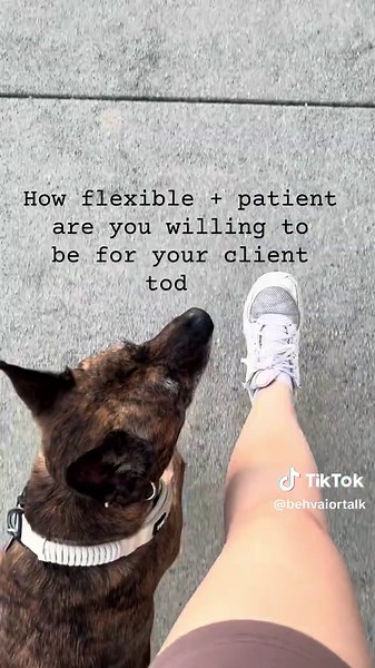 This one simple question often changes the way I work with your clients when I find myself disregulated! Anytime I recognize myself getting too escalated with my Students Learners- I’ll ask myself this mental question that often focuses on the root of the problem. #rbt #ABA #bcba #earlyintervention #therapytiktok