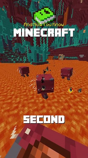 Ultimate Minecraft Strider Speed Guide