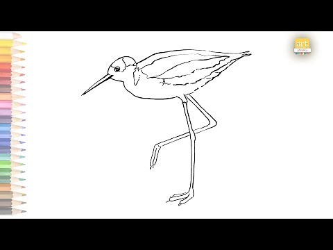 Sandpiper bird outline drawing / How to draw Sandpiper drawing step by step / #artjanag