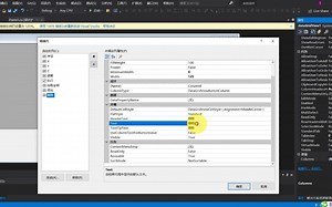 C#编程表格操作第1节