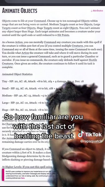 Unleashing Fireball: A Wizard's D&D TikTok Adventure