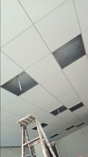 The 2x2 Ceiling Tile Revolution