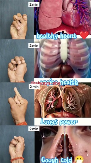 Daily Mudra #healthy #heart #lungs #power #shorts #mudra #yoga #trending #ytshorts #increase #yt