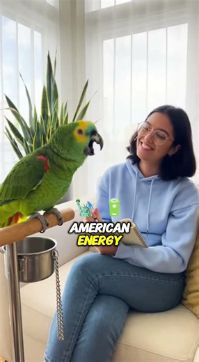 From Hospital Drama to Savage Roasts 🦜💀 This Bird Is WILD