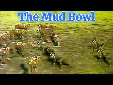 The Mud Bowl Playoff Game(Vikings Rams 1977 Classic)